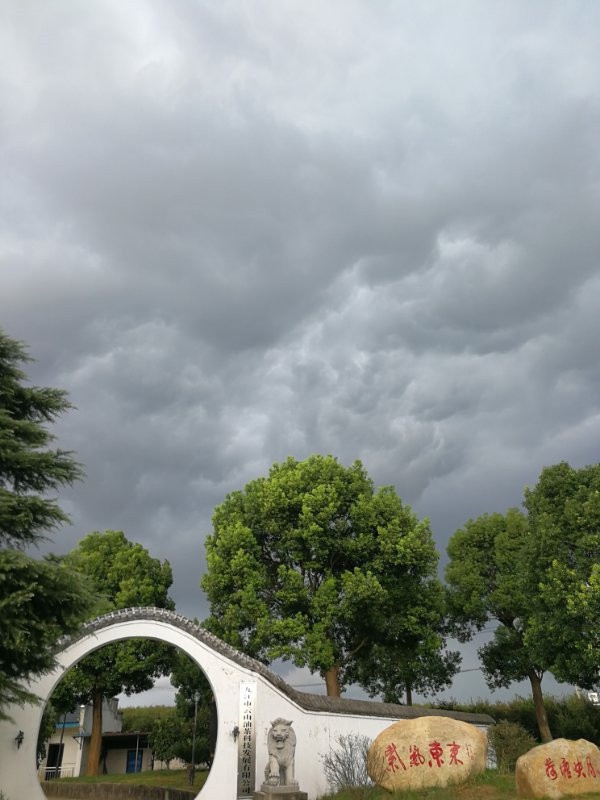 基地云雨